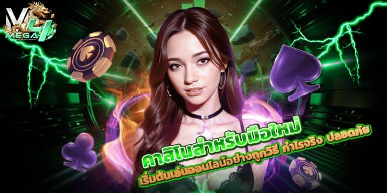 คาสิโนสำหรับมือใหม่