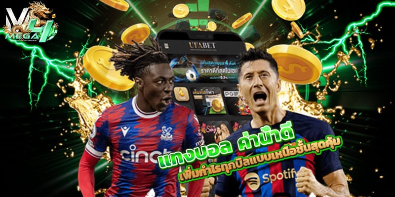 แทงบอล ค่าน้ำดี